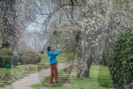 Spring Season In Kashmir