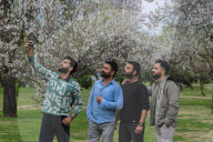 Spring Season In Kashmir