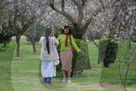 Spring Season In Kashmir