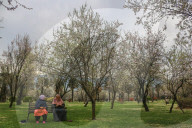 Spring Season In Kashmir