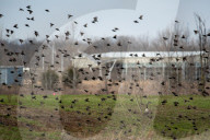 Wildlife At The Fernald Nature Preserve