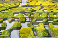 Spring Tour in Xinghua