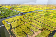 Spring Tour in Xinghua