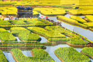 Spring Tour in Xinghua