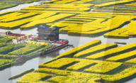 Spring Tour in Xinghua