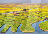 Spring Tour in Xinghua