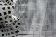 Exterior Austrian Medical University Of Graz