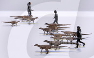 Boulder reveals huge concentration of dinosaur footprints 