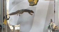 One legged robot trained to leap like a squirrel