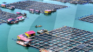 Baiji Bay Sea Ranch in Ningde