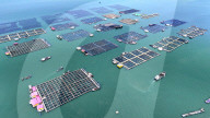 Baiji Bay Sea Ranch in Ningde