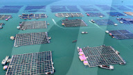 Baiji Bay Sea Ranch in Ningde