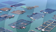 Baiji Bay Sea Ranch in Ningde