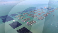 Baiji Bay Sea Ranch in Ningde