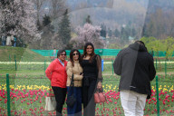 Asia's Largest Tulip Garden Opens In Kashmir