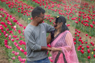 Asia's Largest Tulip Garden Opens In Kashmir