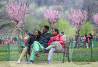 Asia's Largest Tulip Garden Opens In Kashmir