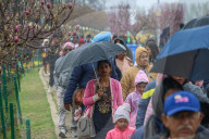 Asia's Largest Tulip Garden Opens In Kashmir