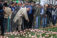 Tulip Garden Opens For General Public In Srinagar 