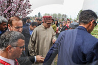 Tulip Garden Opens For General Public In Srinagar 
