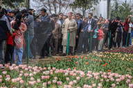 Tulip Garden Opens For General Public In Srinagar 