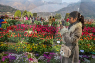 Tulip Garden Opens In Srinagar 