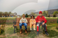Tulip Garden Opens In Srinagar 