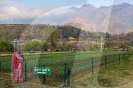Tulip Garden Opens In Srinagar 
