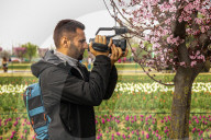 Tulip Garden Opens In Srinagar 