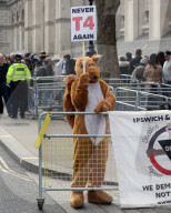 Disabled Protest Westminster