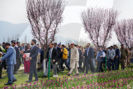 Kashmir: Asia's Largest Tulip Garden Thrown Open For People 