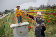 Kashmir: Asia's Largest Tulip Garden Thrown Open For People 