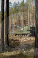 US troops train in Lithuania