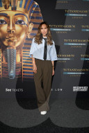 Tutankhamun: The Immersive Exhibition