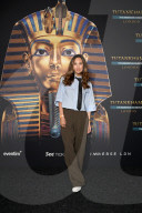 Tutankhamun: The Immersive Exhibition