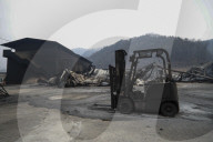 South Korea Forest Fire Aftermath