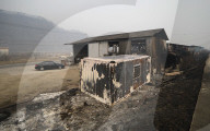 South Korea Forest Fire Aftermath
