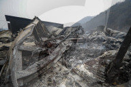 South Korea Forest Fire Aftermath