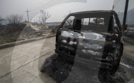 South Korea Forest Fire Aftermath