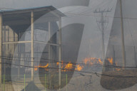 South Korea Forest Fire Aftermath