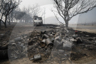South Korea Forest Fire Aftermath