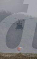 South Korea Forest Fire Aftermath
