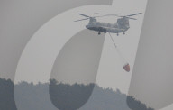 South Korea Forest Fire Aftermath
