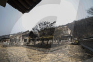 South Korea Forest Fire Aftermath