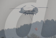South Korea Forest Fire Aftermath