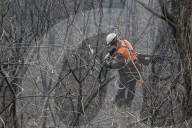 South Korea Forest Fire Aftermath