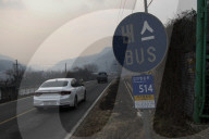 South Korea Forest Fire Aftermath