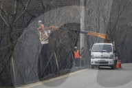 South Korea Forest Fire Aftermath