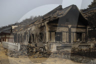 South Korea Forest Fire Aftermath