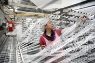 Packaging Company
